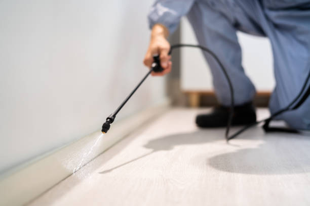 Professional exterminator conducting IPM assessment in Albertville